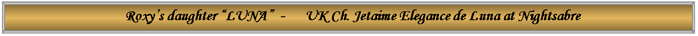 Text Box:   Roxy�s daughter �LUNA�  -      UK Ch. Jetaime Elegance de Luna at Nightsabre