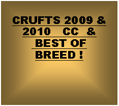 Text Box: CRUFTS 2009 &  2010   CC  & BEST OFBREED !