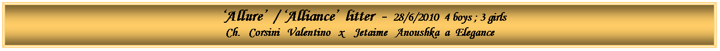 Text Box:   �Allure�  / �Alliance�  litter  -  28/6/2010  4 boys ; 3 girlsCh.   Corsini   Valentino   x    Jetaime   Anoushka  a  Elegance        