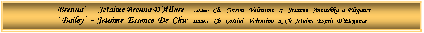 Text Box:  �Brenna�  -   Jetaime Brenna D�Allure     28/6/2010    Ch.   Corsini   Valentino   x    Jetaime   Anoushka  a  Elegance� Bailey�  -  Jetaime  Essence  De  Chic   23/3/2011      Ch   Corsini   Valentino   x  Ch  Jetaime  Esprit  D�Elegance      