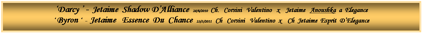 Text Box: �Darcy � -  Jetaime  Shadow D�Alliance  28/6/2010   Ch.   Corsini   Valentino   x    Jetaime   Anoushka  a  Elegance� Byron �  -  Jetaime   Essence  Du  Chance  23/3/2011    Ch   Corsini   Valentino  x    Ch  Jetaime  Esprit  D�Elegance