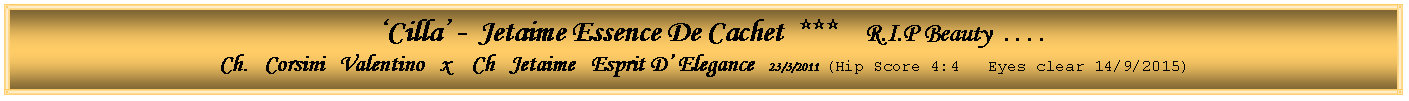 Text Box: ‘Cilla’ - Jetaime Essence De Cachet *** R.I.P Beauty . . . .
Ch. Corsini Valentino x Ch Jetaime Esprit D’ Elegance 23/3/2011 (Hip Score 4:4 Eyes clear 14/9/2015)