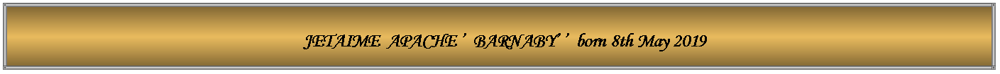 Text Box:   JETAIME  APACHE �  BARNABY� �  born 8th May 2019