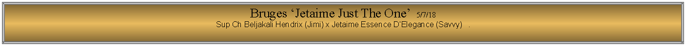 Text Box: Bruges �Jetaime Just The One�  5/7/18Sup Ch Beljakali Hendrix (Jimi) x Jetaime Essence D�Elegance (Savvy)   .
