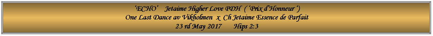 Text Box: �ECHO�    Jetaime Higher Love PDH  ( �Prix d�Honneur �)One Last Dance av Vikholmen  x  Ch Jetaime Essence de Parfait23 rd May 2017       Hips 2:3         