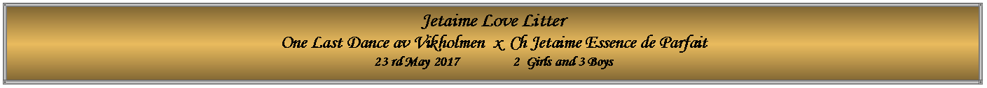 Text Box: Jetaime Love Litter       One Last Dance av Vikholmen  x  Ch Jetaime Essence de Parfait23 rd May 2017                2  Girls and 3 Boys