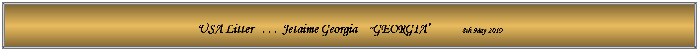 Text Box: USA Litter   . . .  Jetaime Georgia    ��GEORGIA�           8th May 2019