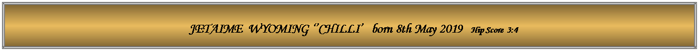Text Box:   JETAIME  WYOMING ��CHILLI�   born 8th May 2019   Hip Score  3:4