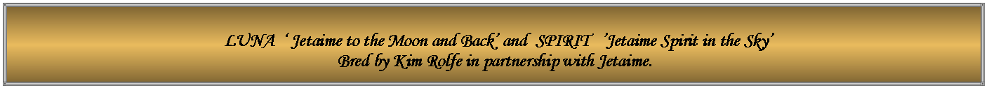 Text Box:   LUNA  � Jetaime to the Moon and Back� and  SPIRIT   �Jetaime Spirit in the Sky�   Bred by Kim Rolfe in partnership with Jetaime.