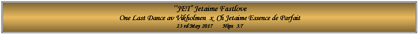 Text Box: ��JET� Jetaime FastloveOne Last Dance av Vikholmen  x  Ch Jetaime Essence de Parfait23 rd May 2017       Hips  3:7