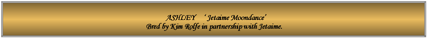 Text Box:   ASHLEY     � Jetaime Moondance� Bred by Kim Rolfe in partnership with Jetaime.