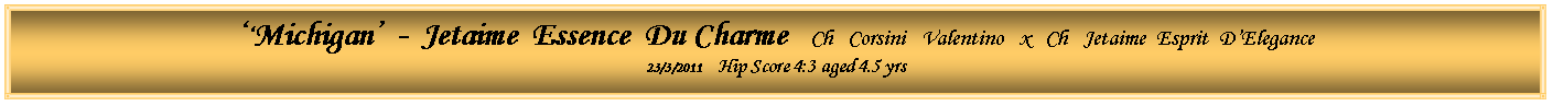 Text Box: ‘‘Michigan’ - Jetaime Essence Du Charme Ch Corsini Valentino x Ch Jetaime Esprit D’Elegance
23/3/2011 Hip Score 4:3 aged 4.5 yrs