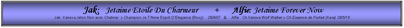 Text Box:  Jak:   Jetaime Etoile Du Charmeur        +       Alfie: Jetaime Forever Now Jak. Xanova Jeton Noir avec Chatmar  x Champion Je T�Aime Esprit D�Elegance (Roxy)    29/8/07   &     Alfie : Ch Xanova Wolf Walker x Ch Essence de Parfait (Kara) 28/5/15