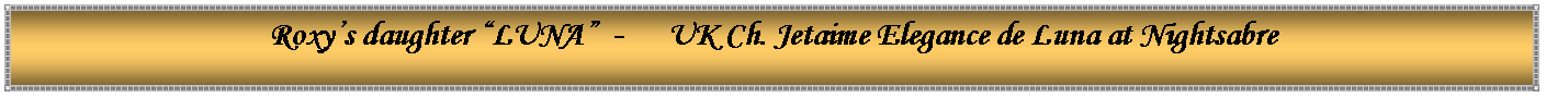 Text Box: Roxy�s daughter �LUNA�  -      UK Ch. Jetaime Elegance de Luna at Nightsabre