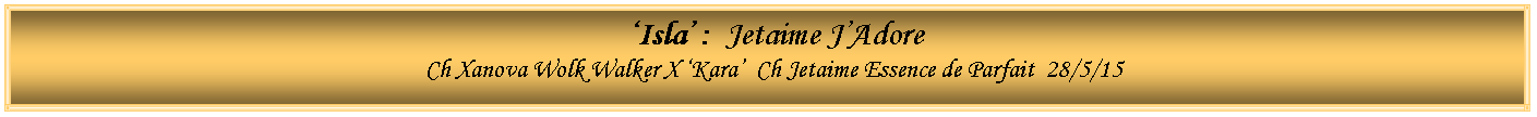 Text Box: ‘Isla’ : Jetaime J’Adore
Ch Xanova Wolk Walker X ‘Kara’ Ch Jetaime Essence de Parfait 28/5/15